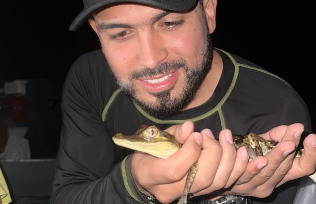 Caimanes amazonas