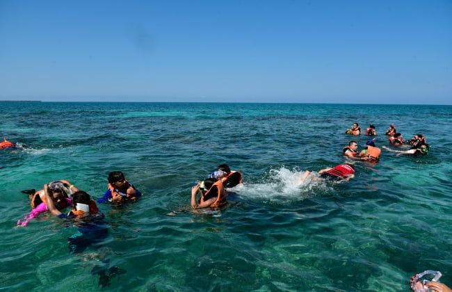 Careteo Isla Mangle
