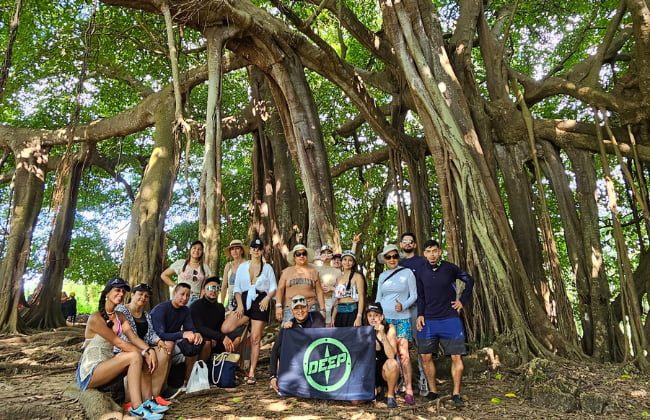 El arbol que camina