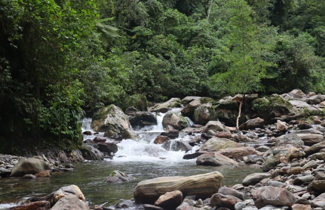 Río Buritaca Ciudad Perdida