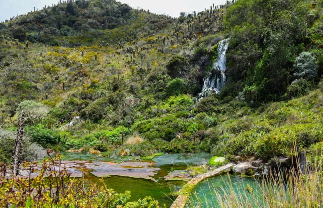 Termales