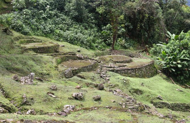 Terrazas Ciudad Perdida